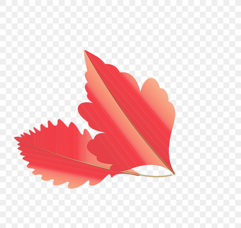 Petal, PNG, 3000x2841px, Autumn Leaf, Cartoon Leaf, Fall Leaf, Paint, Petal Download Free