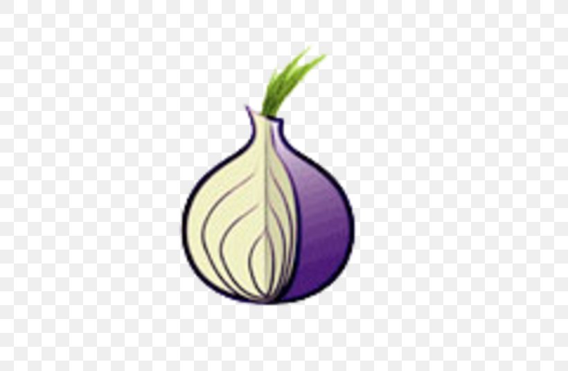Tor .onion Onion Routing Web Browser Internet, PNG, 545x535px, Tor, Anonymity, Anonymous Web Browsing, Computer Network, Dark Web Download Free
