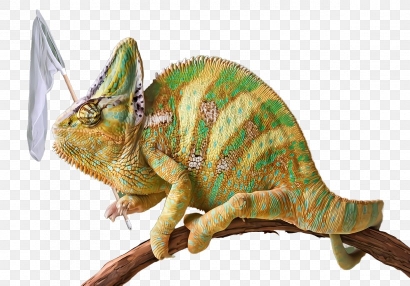 Dinosaur, PNG, 2396x1672px, Dinosaur, Animal Figure, Chameleon, Claw, Common Chameleon Download Free
