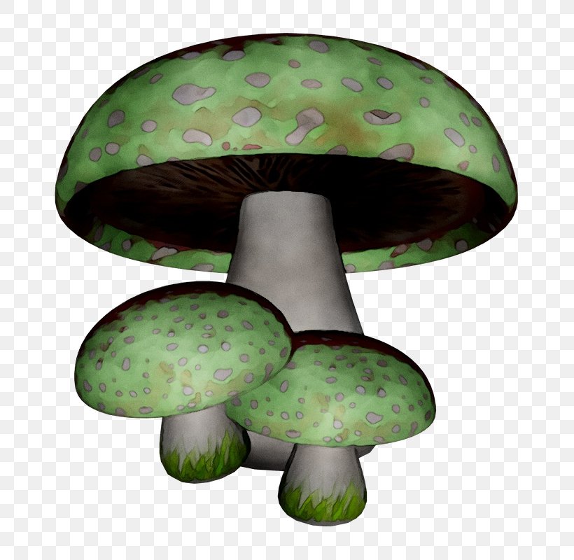 Edible Mushroom Fungus Green, PNG, 800x800px, Mushroom, Agaric, Agaricaceae, Agaricomycetes, Agaricus Download Free