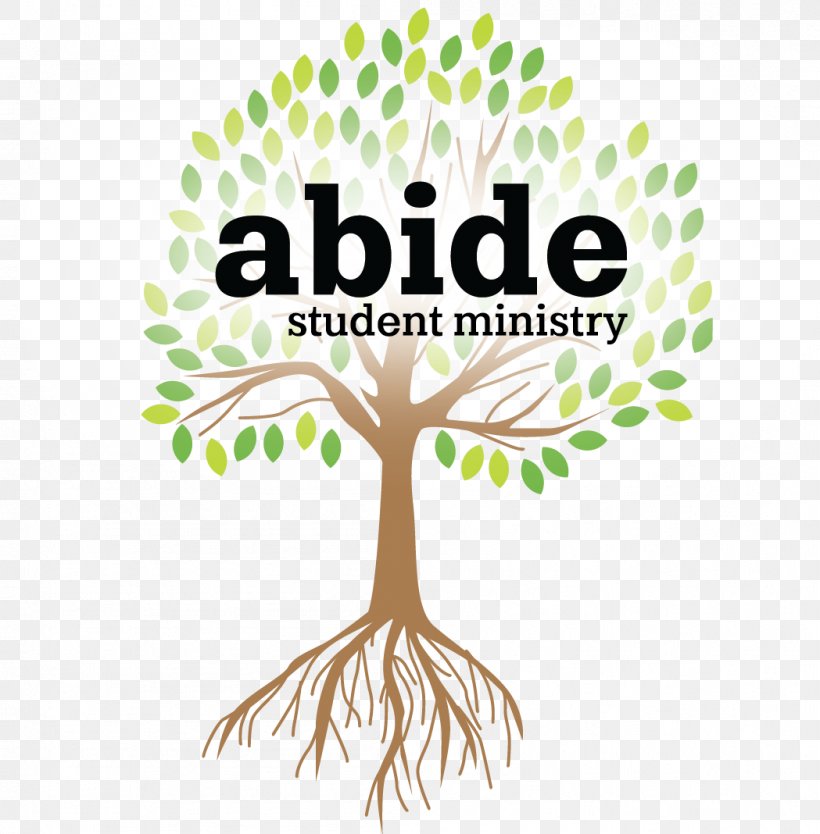 First Baptist Church Christian Ministry Youth Ministry Sermon Udemy, Inc., PNG, 1049x1068px, First Baptist Church, Area, Artwork, Branch, Brand Download Free