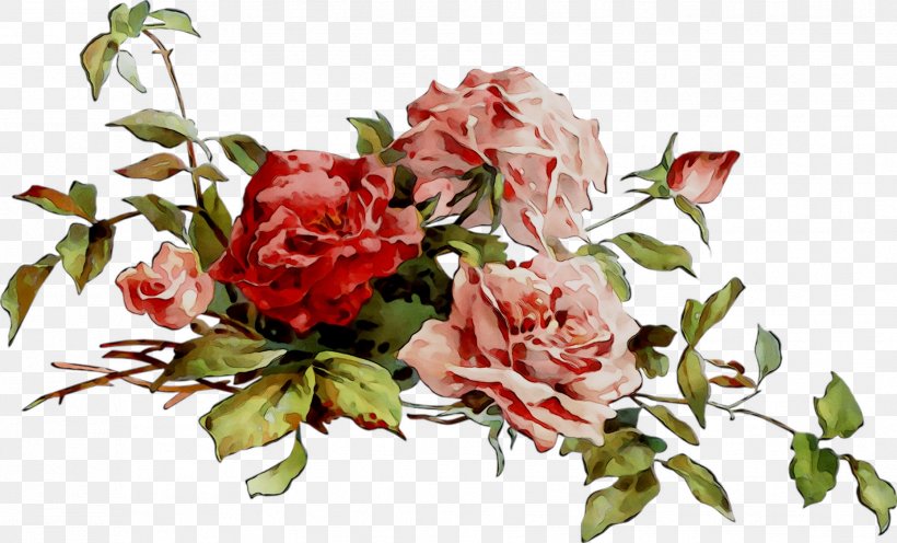 Garden Roses Cabbage Rose Floral Design Cut Flowers, PNG, 1858x1125px, Garden Roses, Artificial Flower, Bouquet, Cabbage Rose, Chinese Peony Download Free