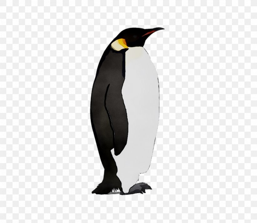 King Penguin Beak, PNG, 1162x1008px, King Penguin, Beak, Bird, Emperor Penguin, Flightless Bird Download Free