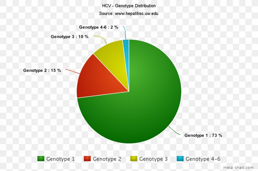 Pie Chart Religion In Brazil Information, PNG, 1200x800px, Pie Chart, Brand, Chart, Conversion Of Units, Diagram Download Free