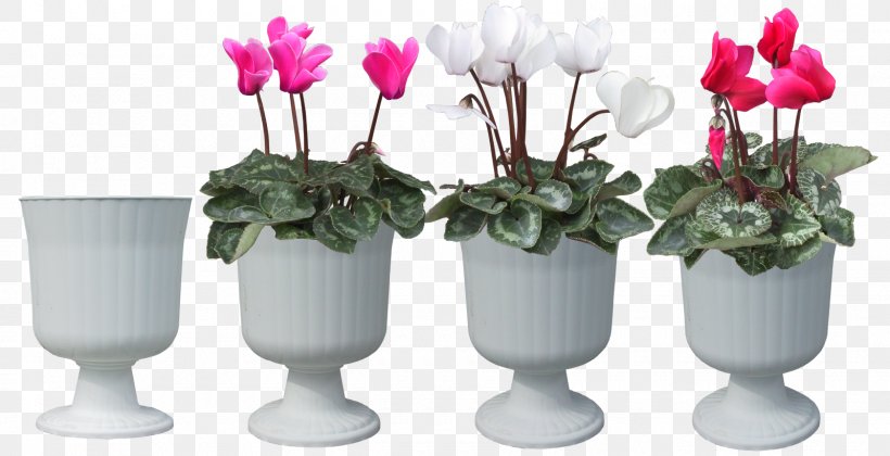 Plant Cyclamen Persicum Flower Bonsai, PNG, 1600x821px, 3d Computer Graphics, 3d Modeling, Plant, Artificial Flower, Bonsai Download Free