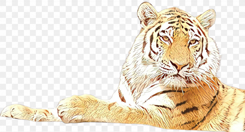 Tiger Bengal Tiger Wildlife Siberian Tiger, PNG, 2724x1467px, Tiger, Bengal Tiger, Siberian Tiger, Wildlife Download Free