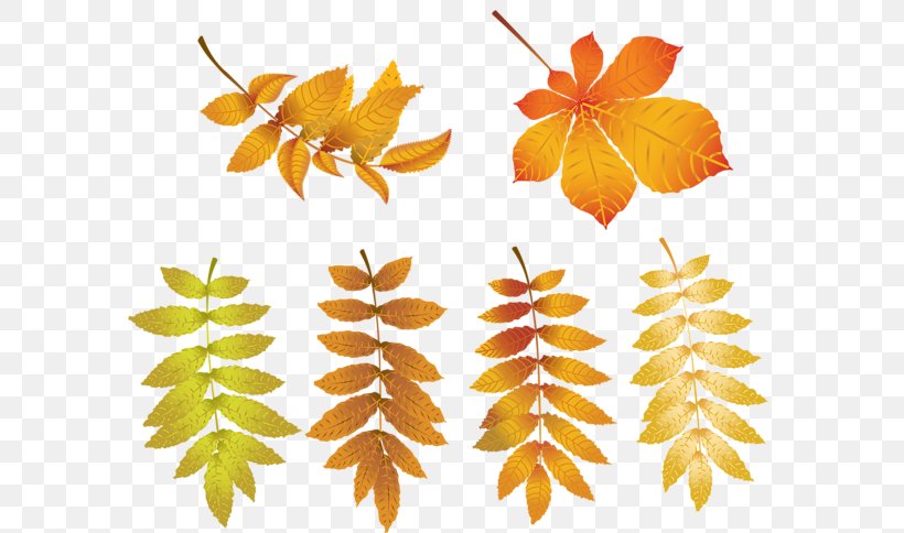 Autumn Clip Art, PNG, 600x484px, Autumn, Art, Autumn Leaf Color, Branch, Cropping Download Free