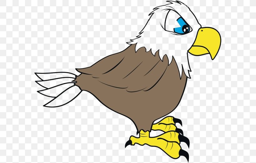 Bald Eagle Cartoon Drawing, PNG, 600x523px, Bald Eagle, Animated Cartoon, Art, Artwork, Beak Download Free