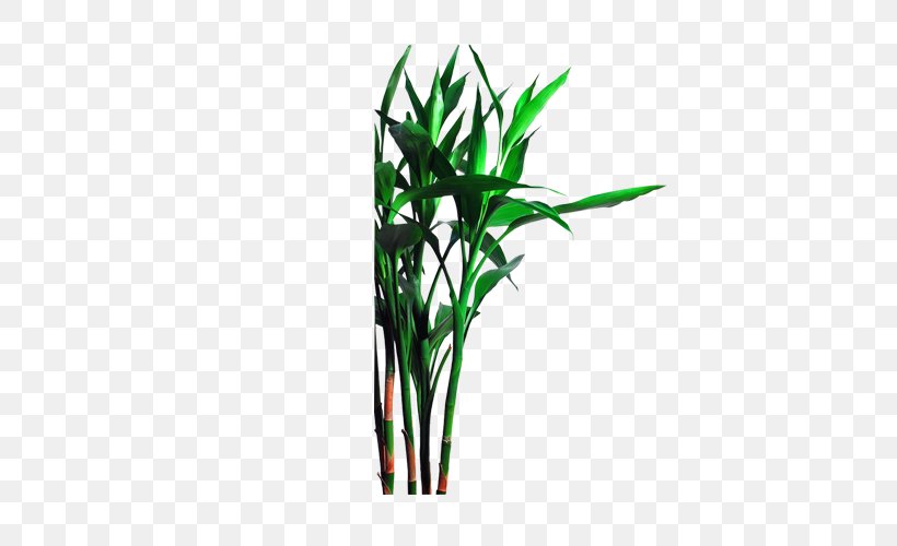 Bamboo Bamboe Icon, PNG, 500x500px, Bamboo, Bamboe, Chemical Element, Copyright, Flowerpot Download Free