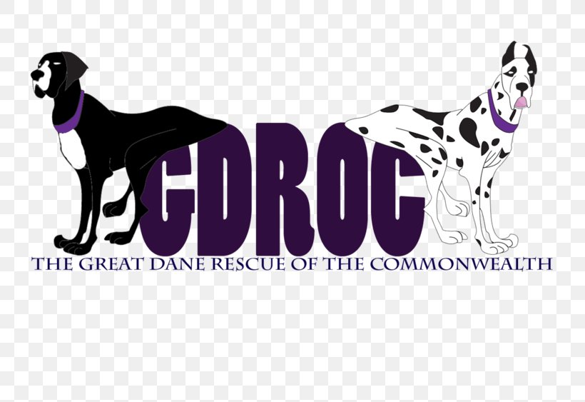 Dalmatian Dog Great Dane Giant Dog Breed Rescue, PNG, 750x563px, Dalmatian Dog, Adoption, Brand, Breed, Carnivoran Download Free
