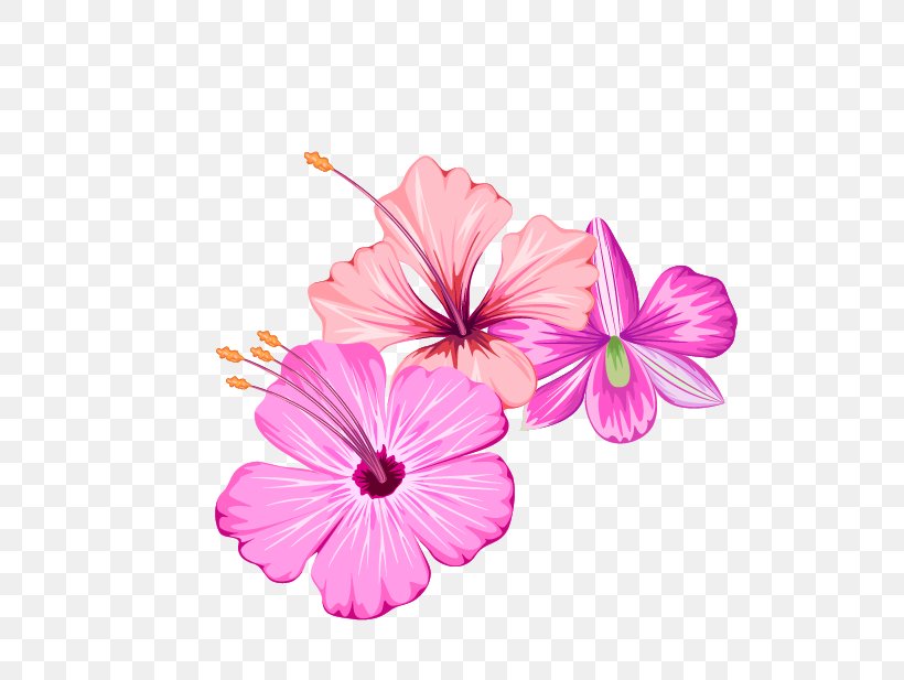 Flower, PNG, 652x617px, Flower, Cut Flowers, Designer, Flowering Plant, Herbaceous Plant Download Free