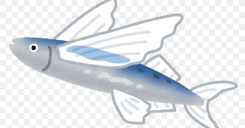 Flying Fish Dashi Yuzawa Choritsu Yuzawa Junior High School School Meal Hedgehog, PNG, 1084x569px, Flying Fish, Bony Fish, Bony Fishes, Child, Condiment Download Free
