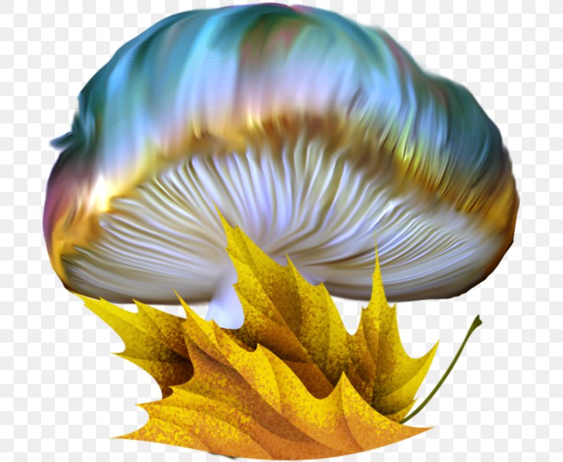 Download Mushroom Drawing Color, PNG, 700x674px, Mushroom ...