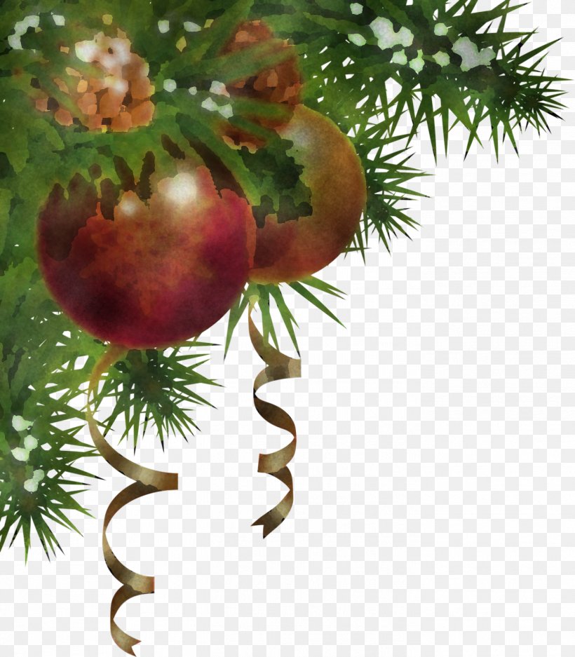 Christmas Ornament, PNG, 1399x1600px, Christmas Ornament, Branch, Christmas, Christmas Decoration, Christmas Tree Download Free