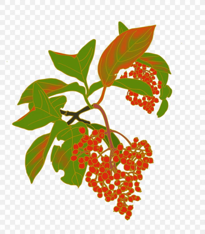 Clip Art Fruit Viburnum, PNG, 1120x1280px, Fruit, Branch, Flora, Flower, Flowering Plant Download Free
