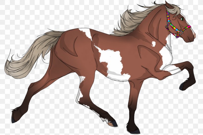 Mane American Quarter Horse Foal Mustang Appaloosa, PNG, 900x600px, Mane, American Quarter Horse, Animal Figure, Appaloosa, Bay Download Free