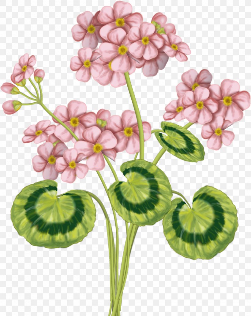 Pink Flower Green Color, PNG, 1056x1332px, Pink, Cartoon, Color, Cut Flowers, Designer Download Free