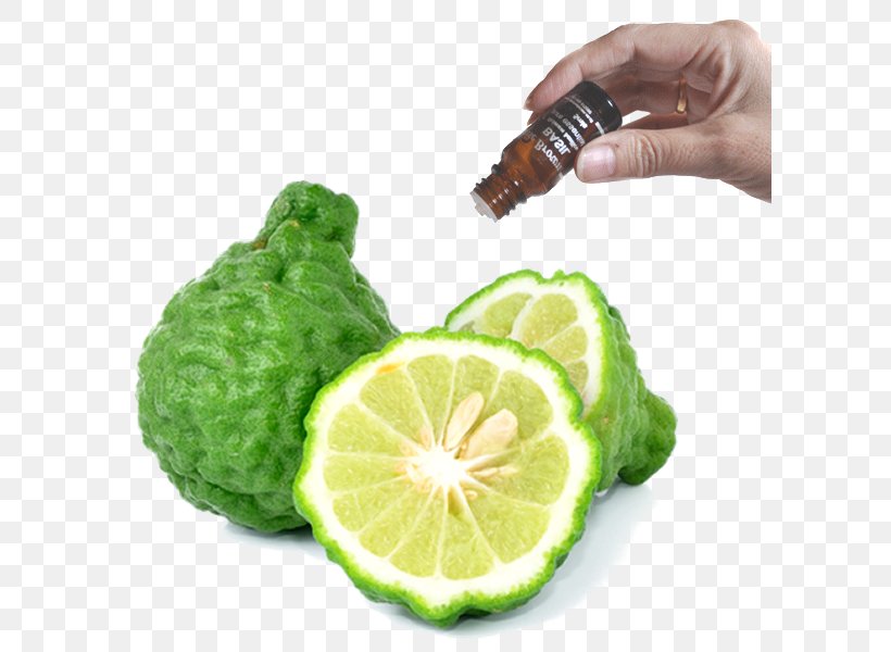 Bergamot Orange Aroma Essential Oil Perfume, PNG, 600x600px, Watercolor, Cartoon, Flower, Frame, Heart Download Free