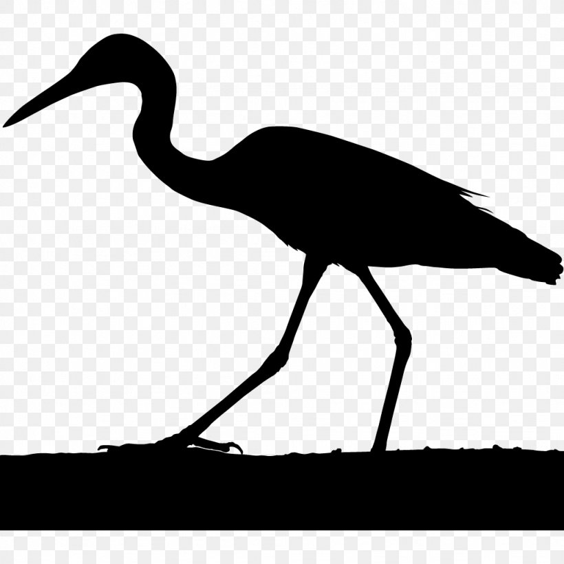 Crane Heron Cornell Lab Of Ornithology Bird Egret, PNG, 1024x1024px, Crane, All About Birds, Beak, Bird, Blue Crane Download Free