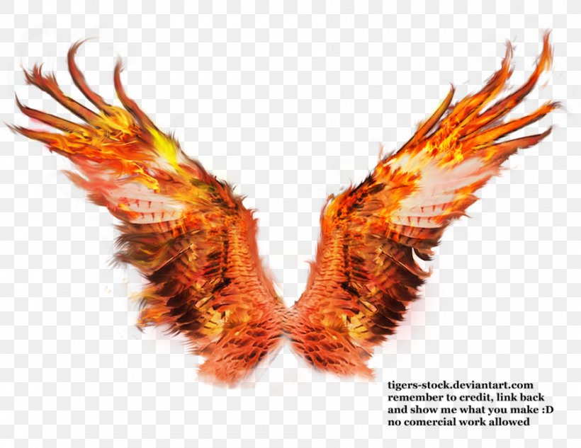Fire Wings Sacramento Phoenix Firebird, PNG, 900x695px, Fire Wings Sacramento, Art, Beak, Drawing, Firebird Download Free