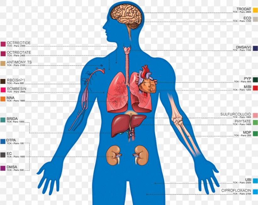 Radiopharmaceutical Technetium-99m Medical Imaging Nuclear Medicine Medical Diagnosis, PNG, 850x678px, Watercolor, Cartoon, Flower, Frame, Heart Download Free