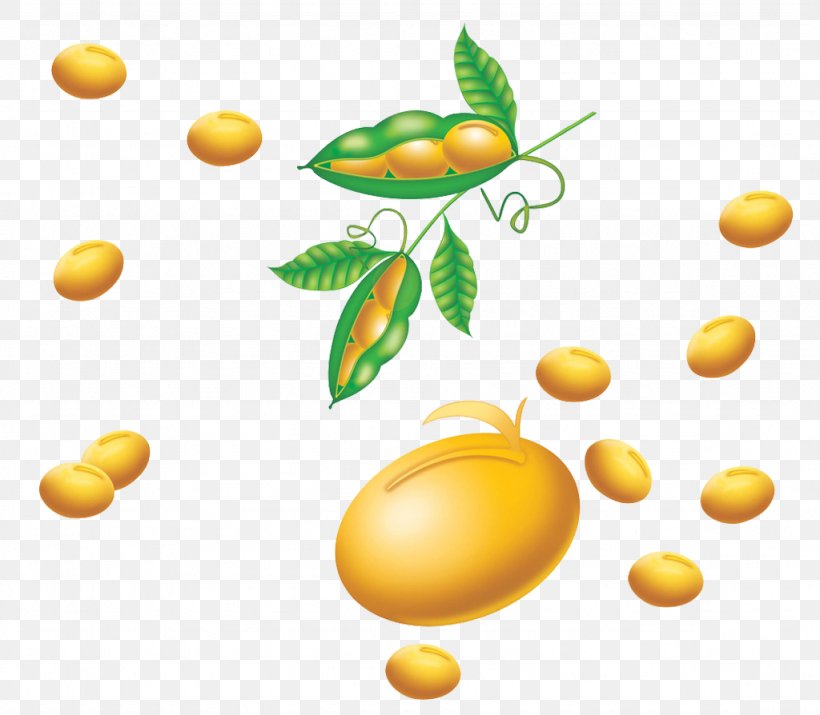 Soy Milk Soybean Pea, PNG, 1024x894px, Soy Milk, Cartoon, Citrus, Common Bean, Five Grains Download Free