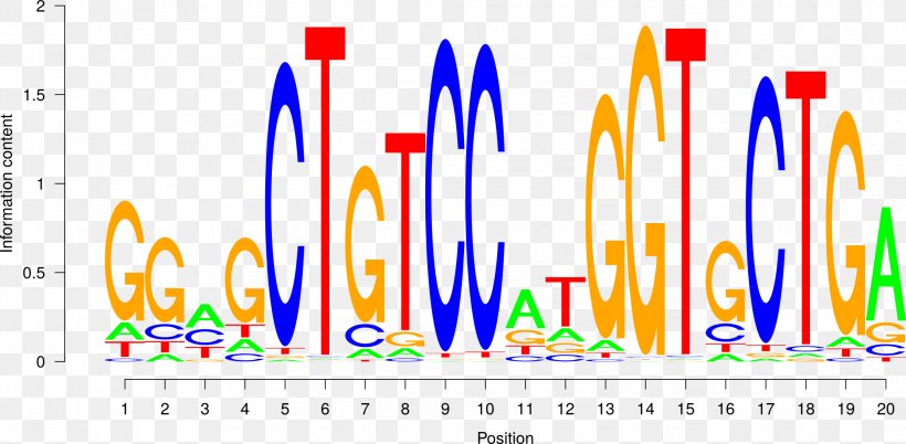 Transcription Factor DNA Binding Site Sequence Motif, PNG, 2083x1023px, Transcription Factor, Area, Binding Site, Brand, Chipsequencing Download Free