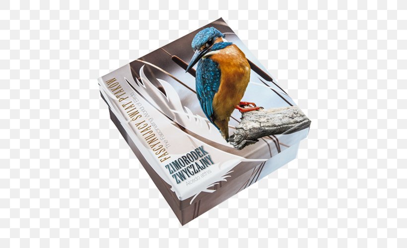 Bird Common Kingfisher Silver Coin, PNG, 500x500px, 5 January, Bird, Auctiva, Beak, Bird Food Download Free