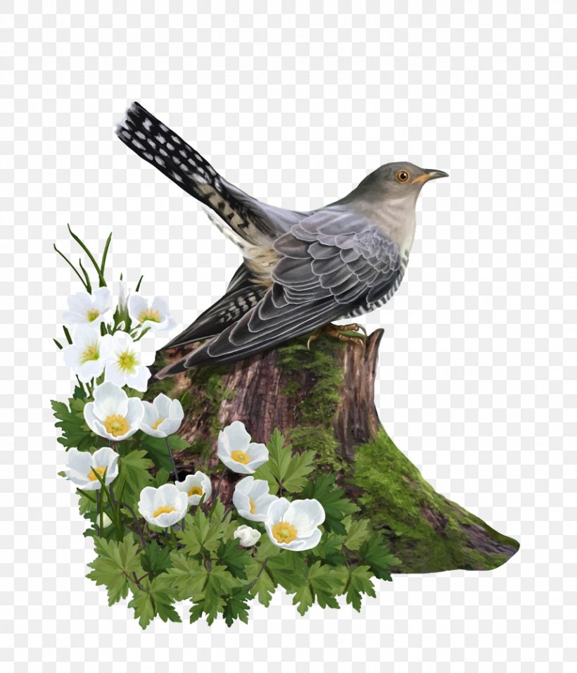 Bird Euclidean Vector Tree Stump Trunk, PNG, 857x1000px, Bird, Beak, Bird Of Prey, Branch, Fauna Download Free