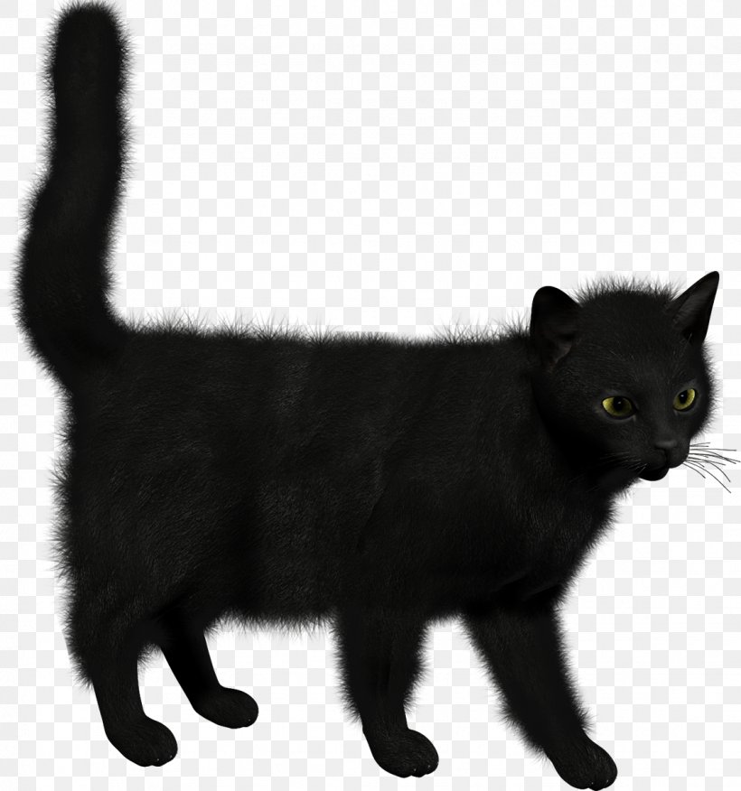 Black Cat Kitten Clip Art, PNG, 1123x1200px, Cat, American Wirehair, Asian, Asian Semi Longhair, Black Download Free