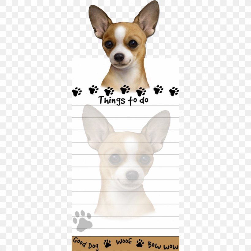Chihuahua Toy Fox Terrier Puppy Yorkshire Terrier West Highland White Terrier, PNG, 1000x1000px, Chihuahua, Boston Terrier, Carnivoran, Coat, Companion Dog Download Free