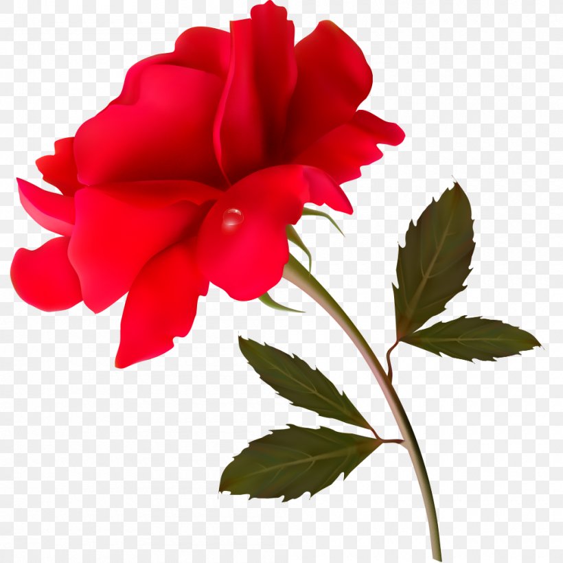 Flower Vector Graphics Floral Design Rose Petal, PNG, 1000x1000px, Flower, China Rose, Drawing, Floral Design, Flower Bouquet Download Free