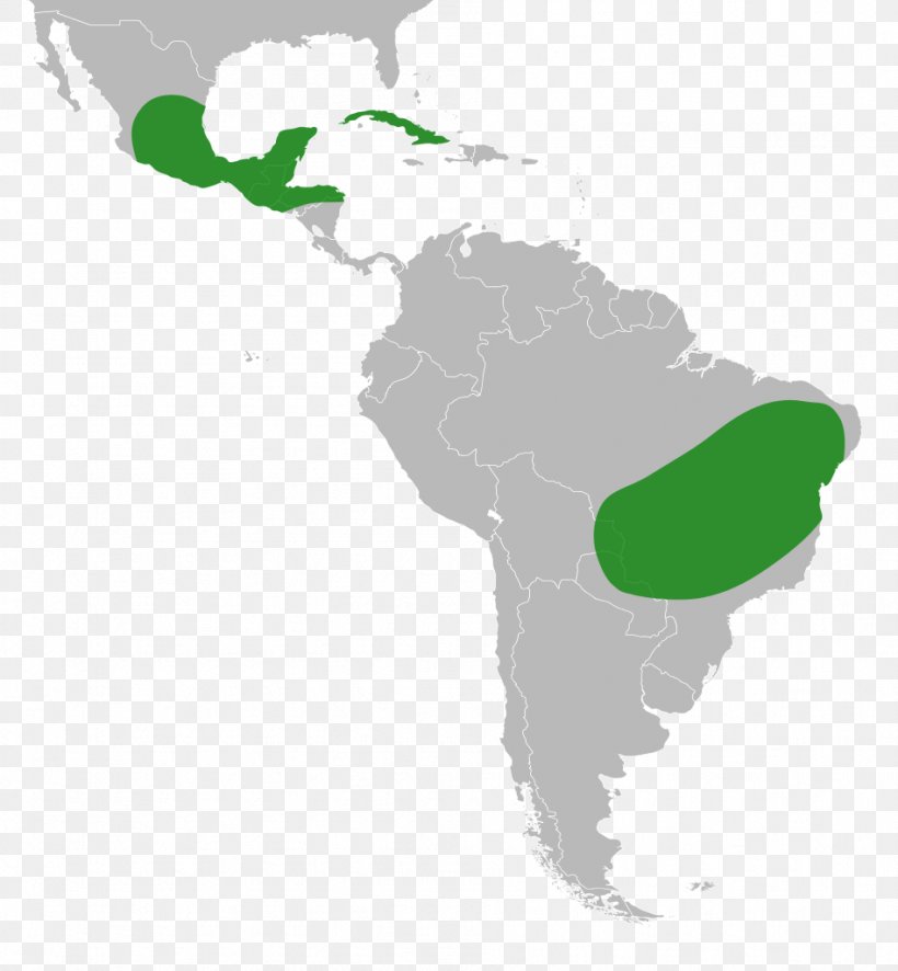 Latin America South America Central America Linguistic Map, PNG, 947x1024px, Latin America, Americas, Central America, English, Geography Download Free