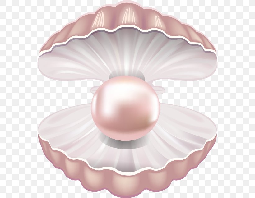 Pearl Seashell Mollusc Shell Gemstone, PNG, 578x637px, Pearl, Gemstone, Material, Mollusc Shell, Nacre Download Free