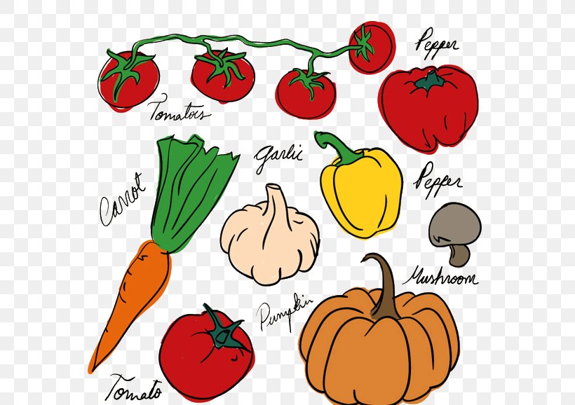 Vegetable Drawing Fruit Tomato, PNG, 738x578px, Vegetable, Apple, Artwork, Bell Pepper, Carrot Download Free