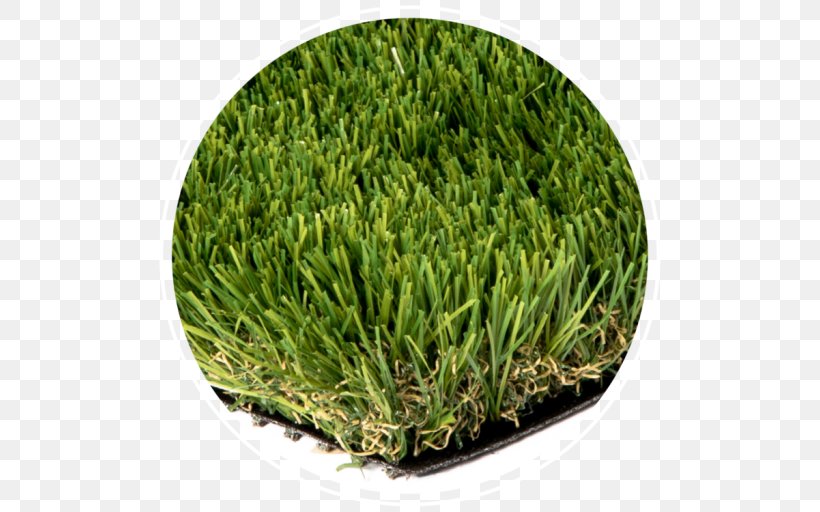 Artificial Turf Lawn Thatch Bentgrass Landscaping, PNG, 512x512px, Artificial Turf, Bentgrass, Cap Brick, Child, Environmentally Friendly Download Free