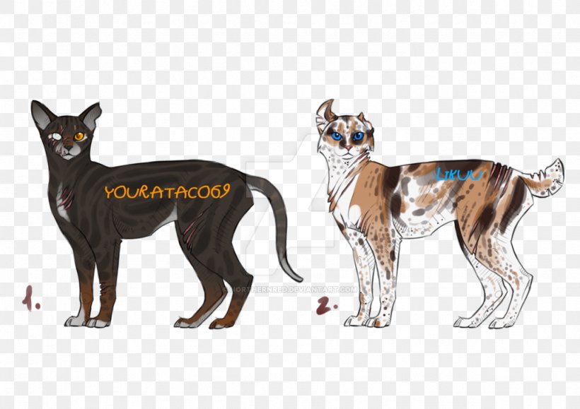 Cat Dog Breed Image Illustration, PNG, 1024x724px, Cat, Bigstock, Black Cat, Breed, Carnivoran Download Free