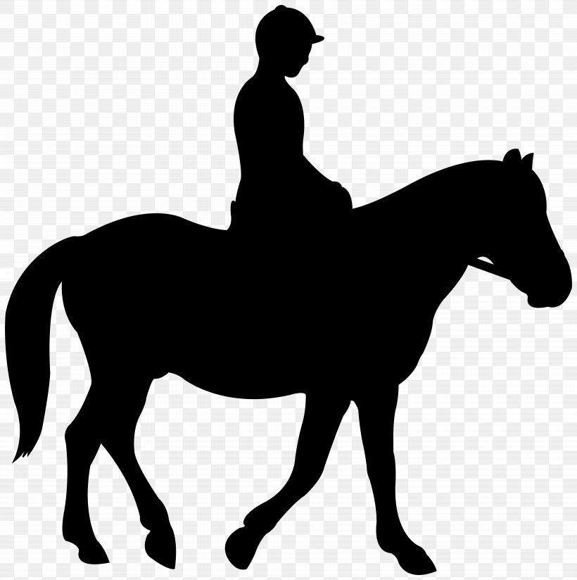 Mustang English Riding Rein Mare Stallion, PNG, 7954x8000px, Mustang, Animal Figure, Animal Sports, Bridle, Dressage Download Free