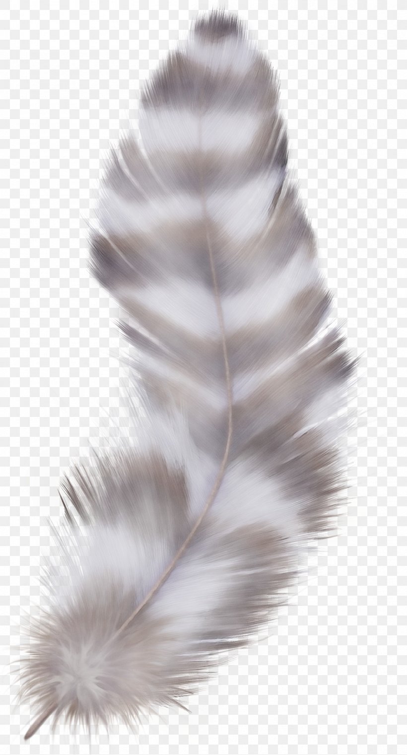Peacock Drawing, PNG, 1051x1950px, Feather, Bird, Drawing, Ear, Fur Download Free