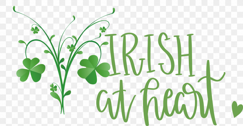 Shamrock Irish Saint Patrick, PNG, 3000x1564px, Shamrock, Clover, Flower, Green, Herbal Medicine Download Free