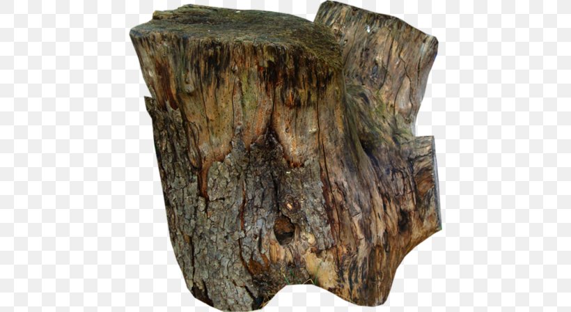Tree Stump Wood Trunk Bark, PNG, 450x448px, Tree, Artifact, Bark, Furniture, Material Download Free