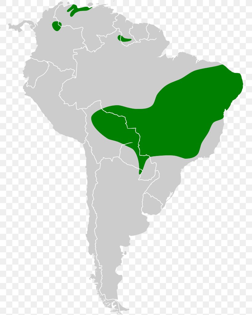 United States Of America Argentina Country Latin American Wars Of Independence American Revolutionary War, PNG, 765x1024px, United States Of America, American Revolutionary War, Americas, Argentina, Country Download Free