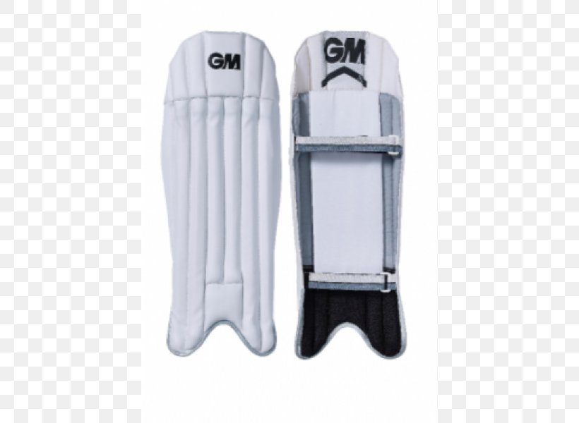 Wicket-keeper Cricket Bats Protective Gear In Sports Pads, PNG, 600x600px, Wicketkeeper, Batting, Cricket, Cricket Bat, Cricket Bats Download Free