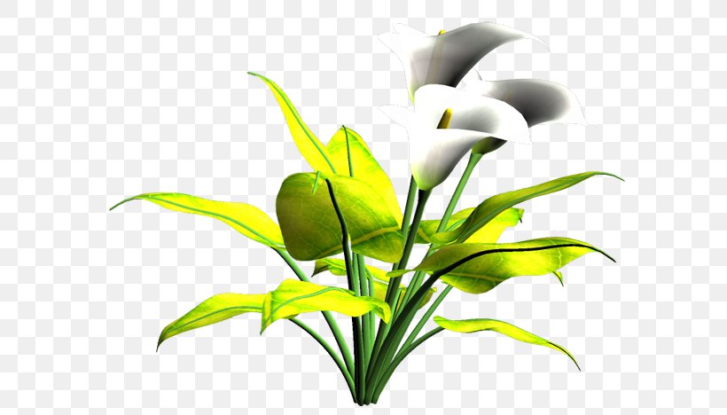 Cut Flowers Plant Stem Leaf Flowering Plant, PNG, 600x468px, Cut Flowers, Aquarium, Aquarium Decor, Flora, Flower Download Free