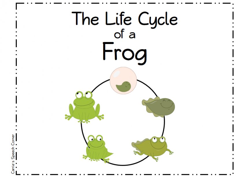 Frog Butterfly Biological Life Cycle Clip Art, PNG, 960x720px, Frog, Animal, Area, Biological Life Cycle, Branch Download Free