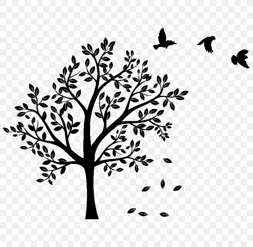 Sticker Wall Decal Tree, PNG, 800x800px, Sticker, Art, Beak, Betula Populifolia, Bird Download Free