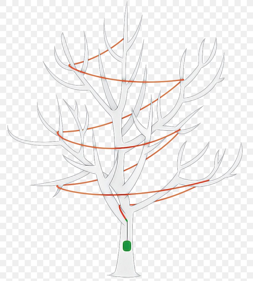 Christmas Tree, PNG, 800x908px, Branch, Christmas Tree, Glass, Leaf, Plant Download Free