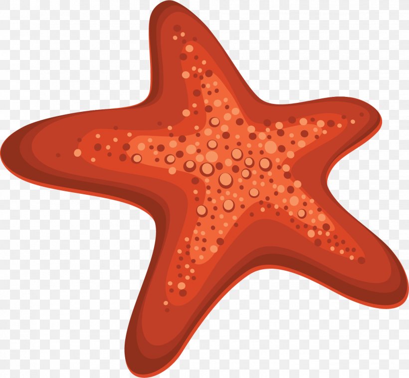 Clip Art, PNG, 1441x1331px, Starfish, Cartoon, Drawing, Echinoderm, Invertebrate Download Free