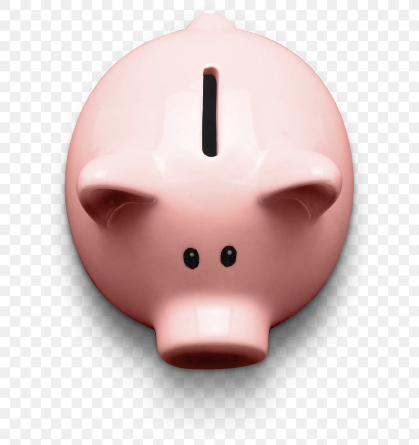 Snout Piggy Bank Pink Index Term, PNG, 646x872px, Snout, Bank, Index Term, Key, Mouth Download Free