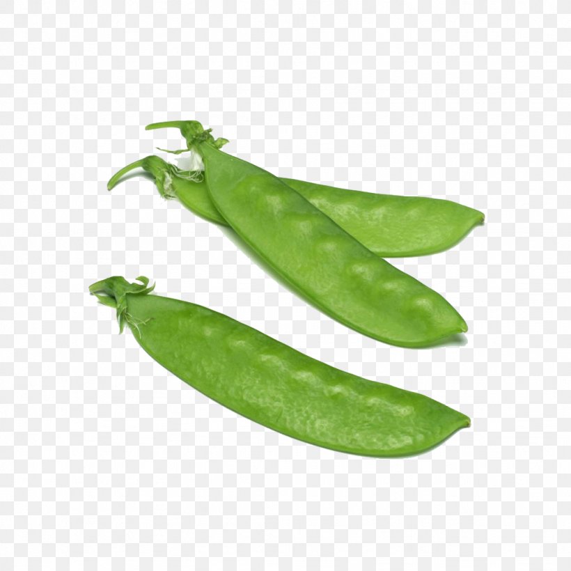 Snow Pea Vegetable Ni Wo Ha, PNG, 1024x1024px, Snow Pea, Auglis, Bamboo Shoot, Bean, Common Bean Download Free